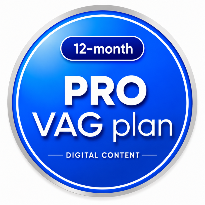 Підписка OBDeleven PRO для VAG Один рік — кодування, адаптації, SFD